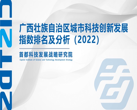 伊人伊人日批视频【成果发布】广西壮族自治区城市科技创新发展指数排名及分析（2022）